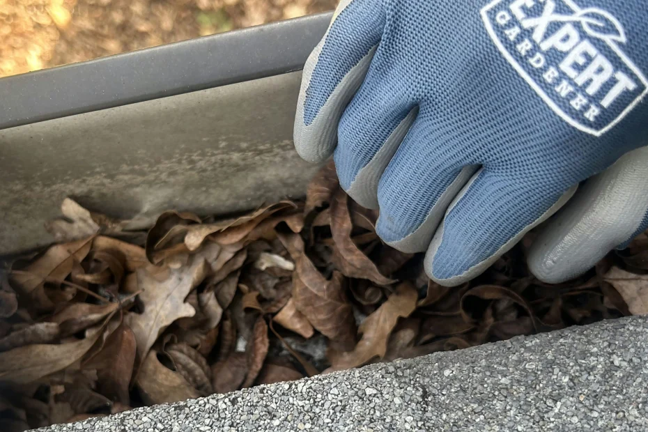 Gutter Cleaning Flower Mound TX