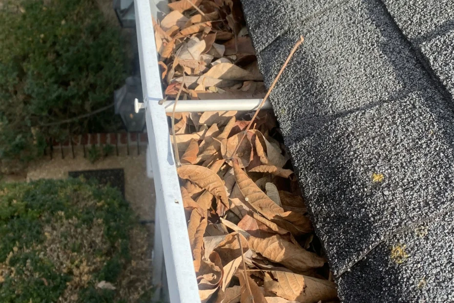 Gutter Cleaning Flower Mound TX